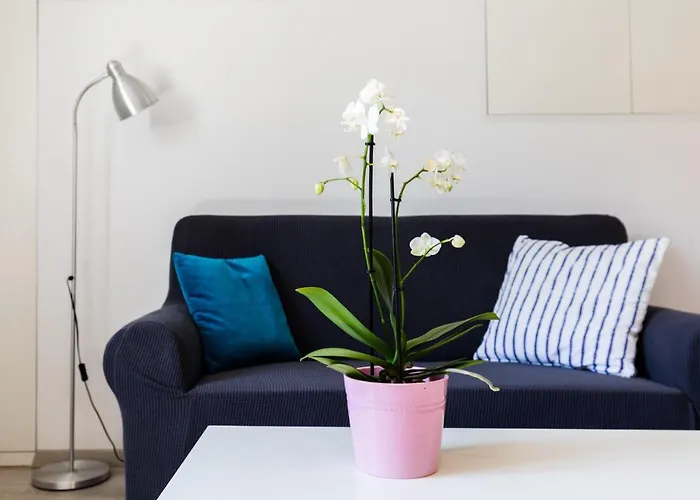 Katarina-two Bedroom With Parking Lejlighed Dubrovnik