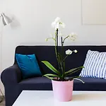 Katarina-two Bedroom With Parking Apartmán Dubrovník